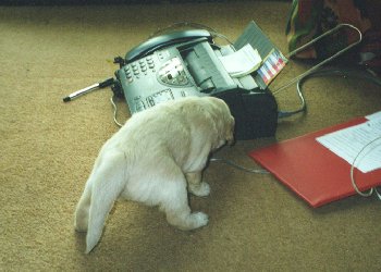 In training