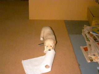 Playtime!
