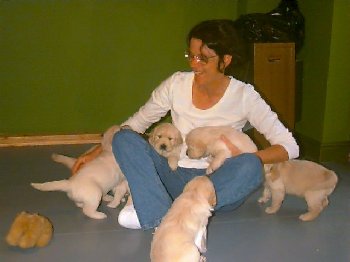 Swamped by bundles of fun